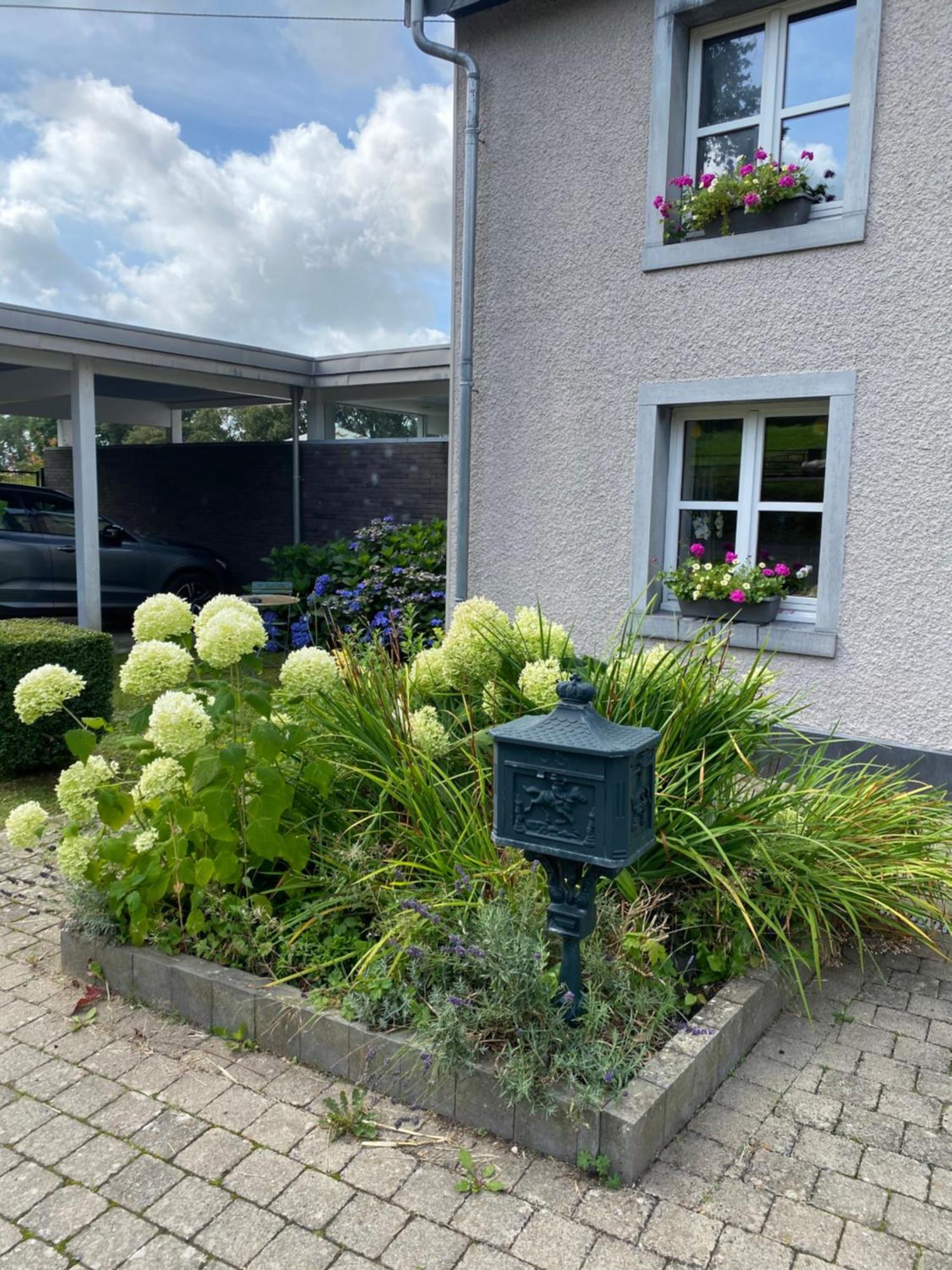Les Sansonnets Hotell Vaux-sur-Sure Eksteriør bilde